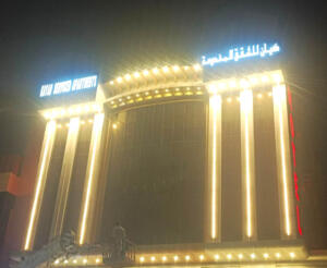 led-light-saudia